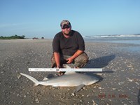 Team Southern Sharkers - Donnie Tidwell