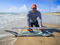 Fishing Locos - Mark Cano