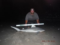 Team Southern Sharkers - Donnie Tidwell