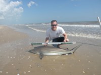 CatchSharks - Matt Hyde