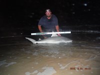 Team Southern Sharkers - Donnie Tidwell