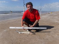 Stacking Gills - Jeremy  Counahan