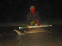 Keep It Reel - Ron Richmond