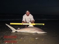 Team Rockstar - James Clark