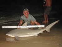 Sharkaholics - Zach Crain