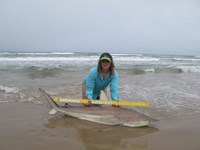 Team Rockstar - Dani Zirkel