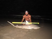 Team Rockstar - James Clark