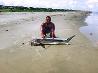 Tx Connection - Frank Rodriguez