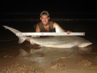 Sharkaholics - Zach Crain