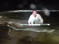 CatchSharks - Steven Kennedy