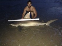 Keep It Reel - Kelley  O'Brien