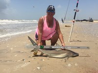 Team JackWagon - Kimberly Collier