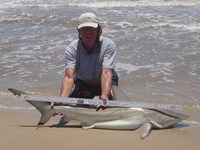 Sharkaholics - David Crain