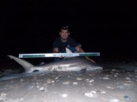 Keep It Reel - Joe  Garcia