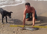 Sharkaholics - Zach Crain