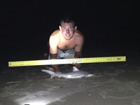 Sharkaholics - Zach Crain