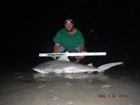 Team Southern Sharkers - Donnie Tidwell