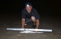 Southern Shark  Outcasts  - John Franklin