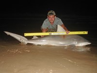 Sharkaholics - Zach Crain