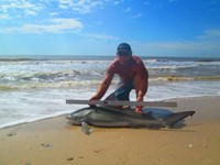 Keep It Reel - Ron Richmond