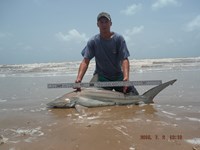 Team Southern Sharkers - Joseph Patterson