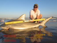 Team Rockstar - Scott Nelson