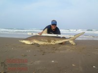 Team Rockstar - Eric Ozolins