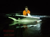 Team Rockstar - Brad Tabor