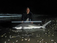 Fishing Locos - Mark Cano