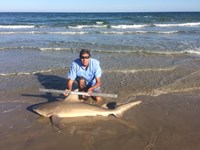 Team Nessie - Ralph  Contreras