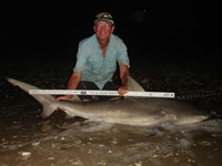 Sharkaholics - David Crain