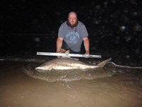 Hammerhead Mafia  - micah  Underwood 