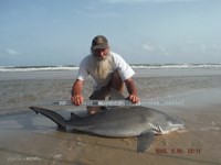 Team Southern Sharkers - David Tidwell