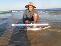 Stacking Gills - josh Counahan