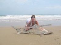 Team Sharkathon - Bethany Lyn