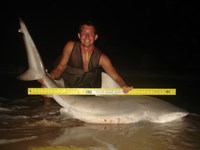 Sharkaholics - Zach Crain