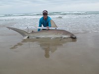 Team Rockstar - Brad Tabor