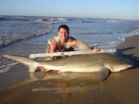 Sharkaholics - Zach Crain