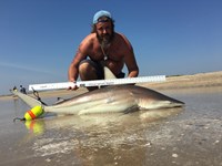 Morton saltwater fishing - Robert Morton