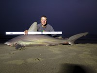 Team Rockstar - Eric Ozolins