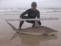 Reel Billies - Nathan Sadosky