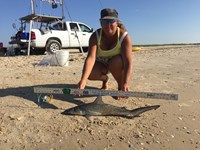 Team JackWagon - Kimberly Collier