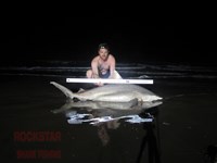 Team Rockstar - Brad Tabor