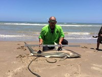 Down South Hook Setters - juan cisneros