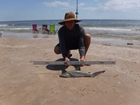 Stacking Gills - josh Counahan