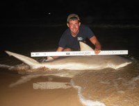 Sharkaholics - Zach Crain