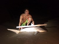 Hammerhead Mafia  - rolland hyatt