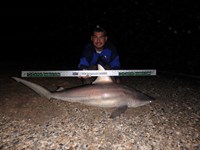 Keep It Reel - Joe  Garcia