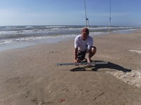 Stacking Gills - David  Counahan