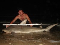 Sharkaholics - Zach Crain